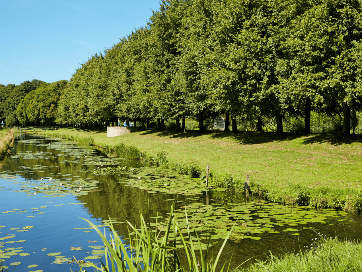 Praat mee over het groen in je kern